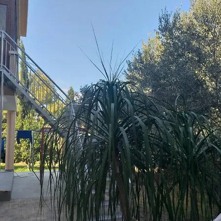 Horizon Luxury 2 *